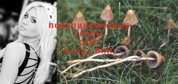 гашиш Нягань