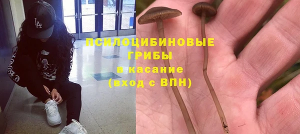 молекула духа Нязепетровск
