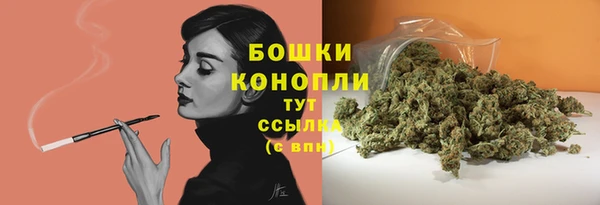 экстази Няндома