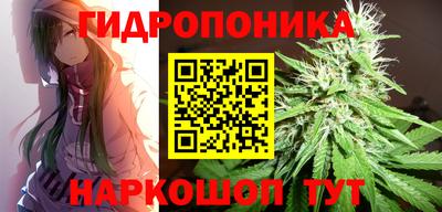 a pvp Донской