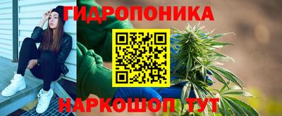 ешки Дубна