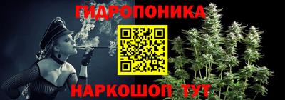 a pvp Донской