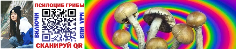 Псилоцибиновые грибы Magic Shrooms  наркотики  Магнитогорск 