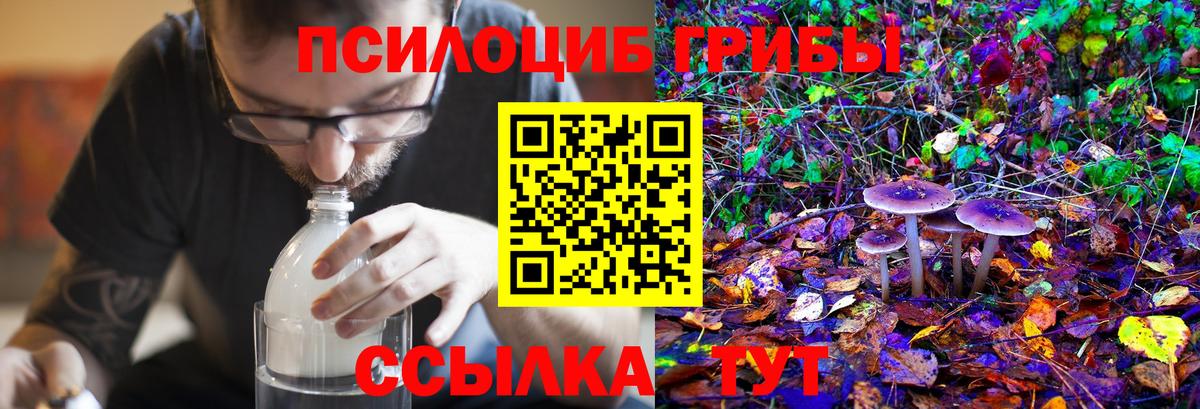 Псилоцибиновые грибы Magic Shrooms  Псилоцибиновые грибы Psilocybine cubensis  Магнитогорск  Вход с VPN 
