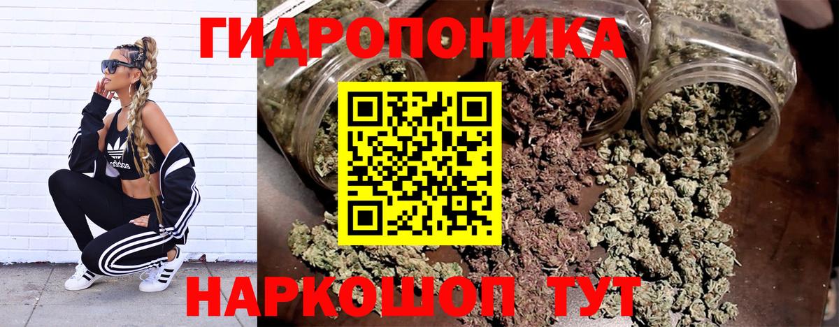 Бошки марихуана гибрид Магнитогорск